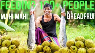 Feeding 100 People  Mahi Mahi Fish With Breadfruit Curry Recipe Cooking In Village [upl. by Bradway]