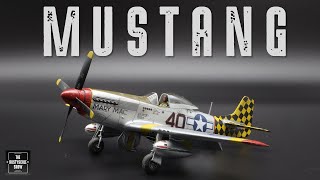 P51 MUSTANG  AIRCRAFT MODEL KIT FULL BUILD  EDUARD 172 SCALE [upl. by Ikkaj]