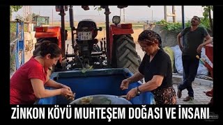 PAZARCIĞIN EN GÜZEL KÖYLERİNDEN ZİNKON KÖYÜNDE  YAŞAM  YEMEK  DAYANIŞMA [upl. by Tressa439]