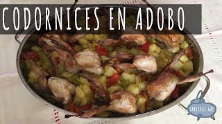 CODORNICES EN ADOBO  Lareirasgal [upl. by Woodhouse]