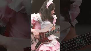 Emotional Bass Guitar Performance On Bacchus Japan WOODLINEHOLLOW5 FUYUZAKURA I Bassist HJFREAKS [upl. by Asylla]