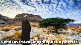 Las VESTIDURAS de los SACERDOTES de ISRAEL  Éxodo 28  Parte 2 [upl. by Nedlog590]