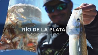 Pesca de Pejerrey del Río dela Plata  en busqueda de los grandes [upl. by Yer]