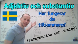 Adjektiv och substantiv samspelar information och övning SFI [upl. by Rice]