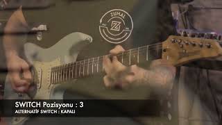 Ibanez AZES Demo Az Essentials [upl. by Carry886]