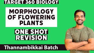 Morphology of Flowering Plants Class 11  Revision  Target 360 Biology [upl. by Nels]