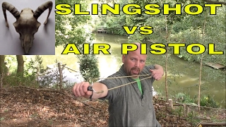 Pocketshot vs Black Widow vs Weirhauch HW45  Slingshot or Air Pistol for Survival [upl. by Hurlee]