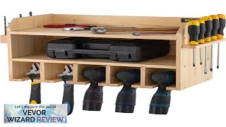 VEVOR Power Tool Organizer Wall Mount Drill Holder 5 Drill Hanging Slots Review [upl. by Arty]