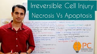 Irreversible Cell Injury or Cell Death Pathology  Necrosis Vs Apoptosis [upl. by Reimer]