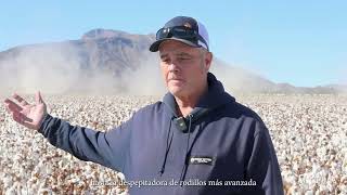 Gowan Cotton Company  MexPima Cotton  Rancho el Mezquite [upl. by Twyla255]