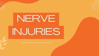 Nerve injuries  Neuroanatomy [upl. by Nnylatsyrk753]