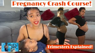 Pregnancy Trimesters Explained  Pregnancy Crash Course Symptoms and ToDo List [upl. by Arerrac499]