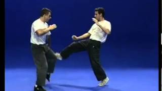 Tutorial Krav Maga Techniques [upl. by Iosep778]