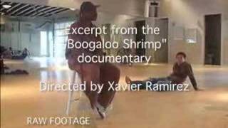 The Boogaloo Shrimp Documentary 2007 [upl. by Sanferd]