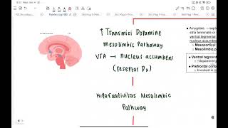 PATOFISIOLOGI NBS CASE 7 quotSkizofrenia Paranoidquot  ray [upl. by Lyndsay145]