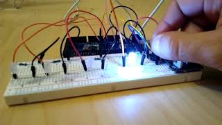 Arduino Multi LED  potentiomètre [upl. by Laughry]