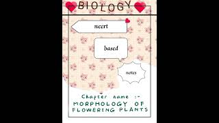 Morphology of flowering plants ☘️ class 11 latest ncert based handwritten notes [upl. by Banwell]