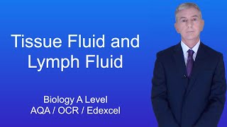 A Level Biology Revision quotTissue Fluid and Lymph Fluidquot [upl. by Jankey527]