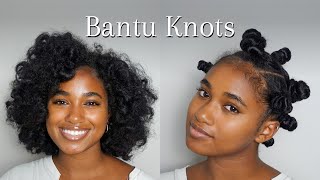 Bantu Knot Out Tutorial  On Wet Natural Hair [upl. by Fougere]