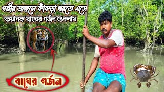 গভীর জঙ্গলে কাঁকড়া ধরতে এসে ভয়ানক বাঘের গর্জন শুনলাম  royal Bengal tiger  roar of the tiger [upl. by Anitsyrhk]