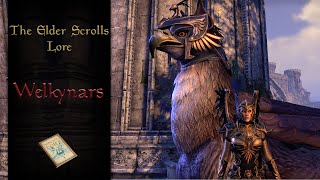 Summersets Protectors The Welkynar Knights  The Elder Scrolls Lore [upl. by Hasila859]