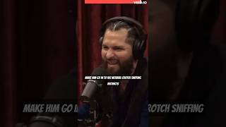 Jorge Masvidal Explaining How Ben Askren’s “Crotch Sniffing” Got Him KO’d  Hilarious 😂 ufc [upl. by Rettig]