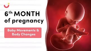 6 Month Pregnancy Baby Movement  6 Month Pregnancy  Six Month Pregnancy Baby Movement [upl. by Aneg]