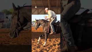 Boon Doc Bailey  2021 AQHA Black Rabicano Reined Cow Horse Mare [upl. by Ahsiela58]