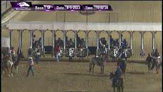 Retama Park Race 9  August 5 2023  Retama Park Derby [upl. by Akcir]