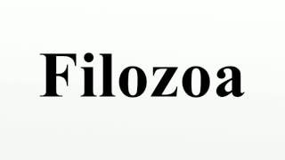 Filozoa [upl. by Nnylear]