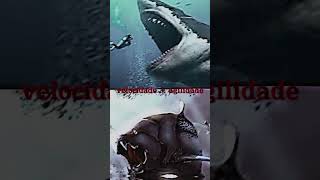 megalodon vs dunkleosteusviralnaoflopa [upl. by Ylrrad]