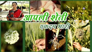 आपली गावाकडची शेती  एकदम लै भारी [upl. by Luap]