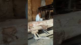 Amazing tools for Wood Cutting II The Factory Man II viralvideo woodworking woodwork [upl. by Rogerg]