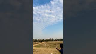 Rocket speed kite fighting🪁Cutting kite caughtBig kite catching Kite looting from ground shorts [upl. by Enyawal989]