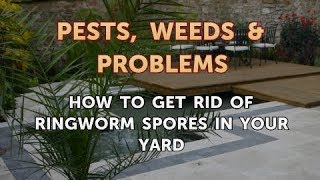 How to Get Rid of Ringworm Spores in Your Yard [upl. by Meyer440]