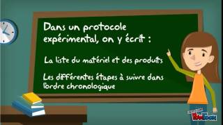 Lécriture dun protocole expérimental [upl. by Anaujahs672]