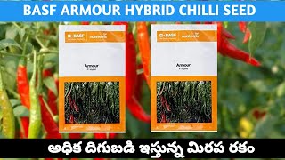 BASF ARMOUR HYBRID CHILLI SEEDS  రోగాలను తట్టుకొని అధిక దిగుబడి ఇచ్చే మిరప రకం [upl. by Eyram321]