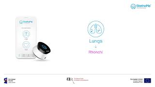 Lungs auscultation  rhonchi 1 [upl. by Onil]