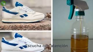 Con este truco tendrás zapatillas blancas como nuevas [upl. by Sigmund667]