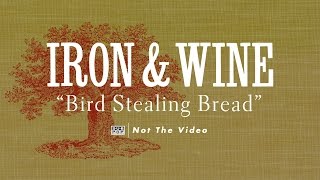 Iron amp Wine  Bird Stealing Bread [upl. by Eiramyma]