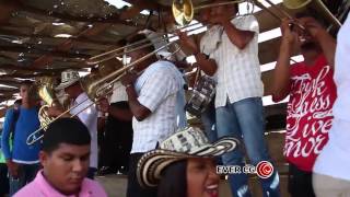 El guayabo de la ye Banda 16 de Agosto de Villa Rosa  Porro en corralejas [upl. by Esikram]