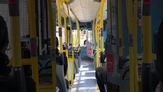 255 to Pollards Hill iBus [upl. by Anhpad]