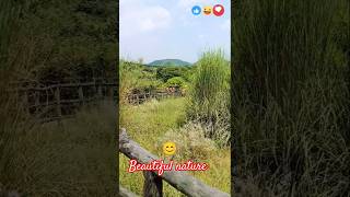 Beautiful nature 😊🙂♥️ ytshorts shorts nature SRoyvloggr [upl. by Piggy]