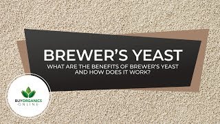 Brewers Yeast Benefits and How Brewers Yeast works [upl. by Zoie]