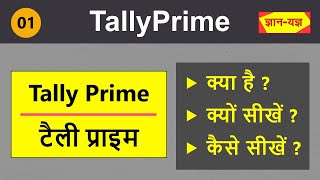 Tally Prime  Introduction  Introduction Objective amp Basis of Teaching Tally Prime Hindi 1 [upl. by Etteroma]