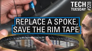 Replace a Spoke Save the Rim Tape  Tech Tuesday 228 [upl. by Gnouc786]