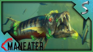 TAKING ON THE FIRST BOSS THE APEX BARRACUDA  Maneater Gameplay E2 [upl. by Yatnuahc]