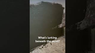 What’s lurking beneath the paint  ARTEM REGART molddetection dengerous plaster [upl. by Horwath999]