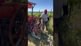 Vineyard Wire Removal  Geyserville CA [upl. by Eleets]