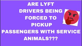 ARE LYFT DRIVERS BEING FORCED TO PICKUP PASSENGERS WITH SERVICE ANIMALS lyft uber lyftexpress [upl. by Somerville]